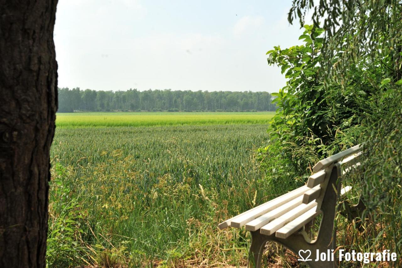 Buitengoed Het Achterdiep Ter Apel ภายนอก รูปภาพ
